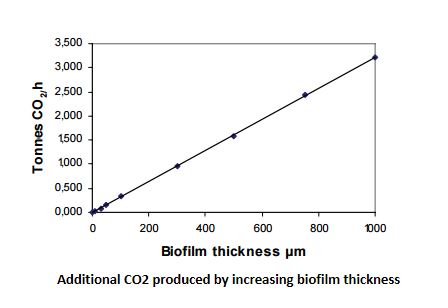 co2-in-relation-to-biofilm-thickness